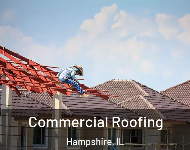  Commercial Roofing Hampshire, IL