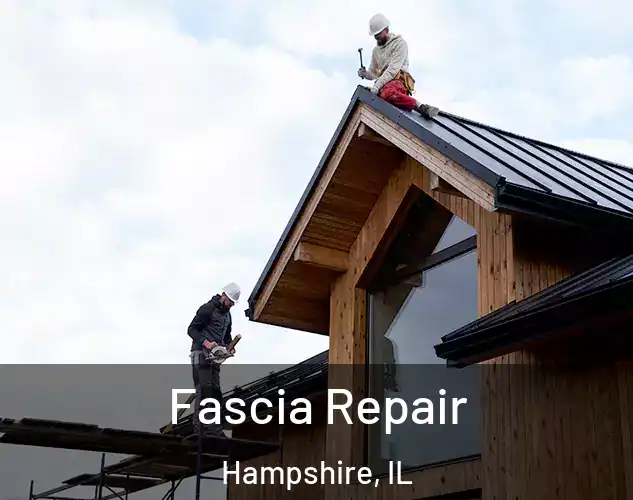  Fascia Repair Hampshire, IL