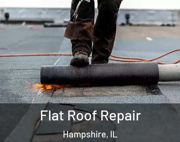  Flat Roof Repair Hampshire, IL