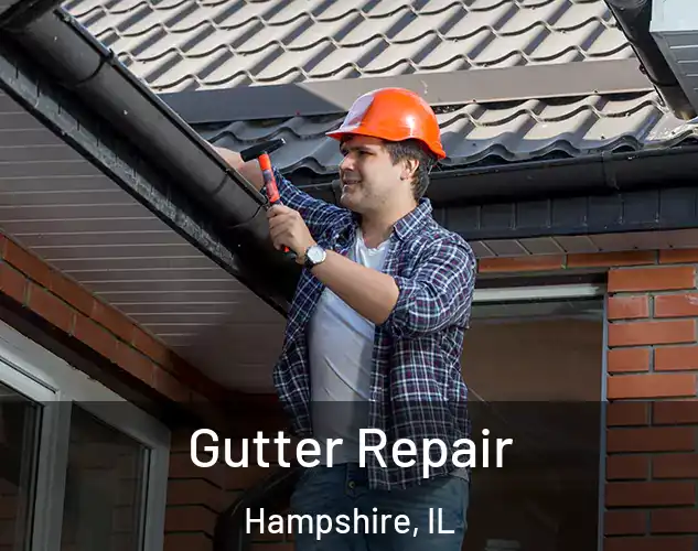  Gutter Repair Hampshire, IL