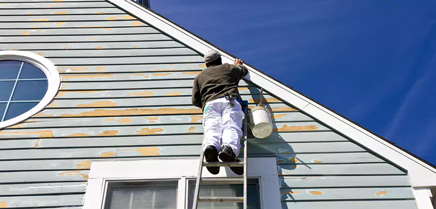 Professional Roof and Siding Repair Services in Hampshire, IL