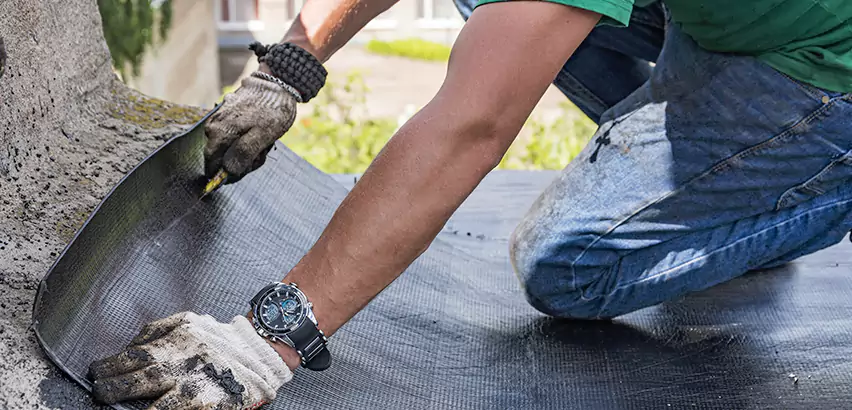 Professional Roof Water Damage Repair Services in Hampshire, IL