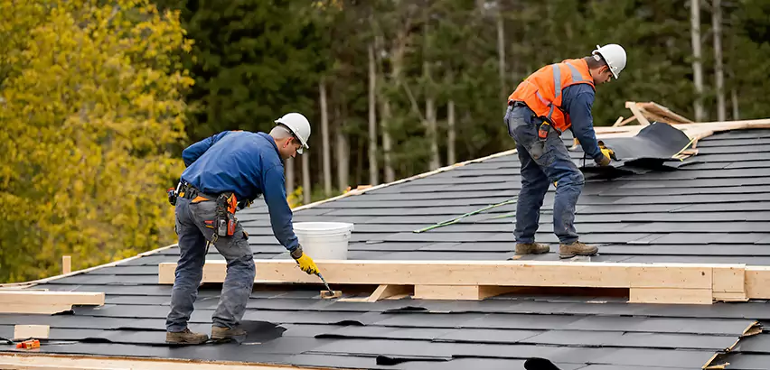 Agricultural Roof Maintenance Hampshire