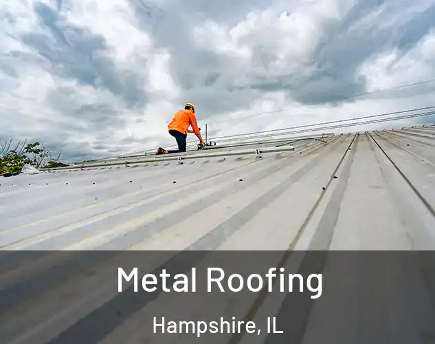  Metal Roofing Hampshire, IL