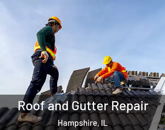  Roof and Gutter Repair Hampshire, IL