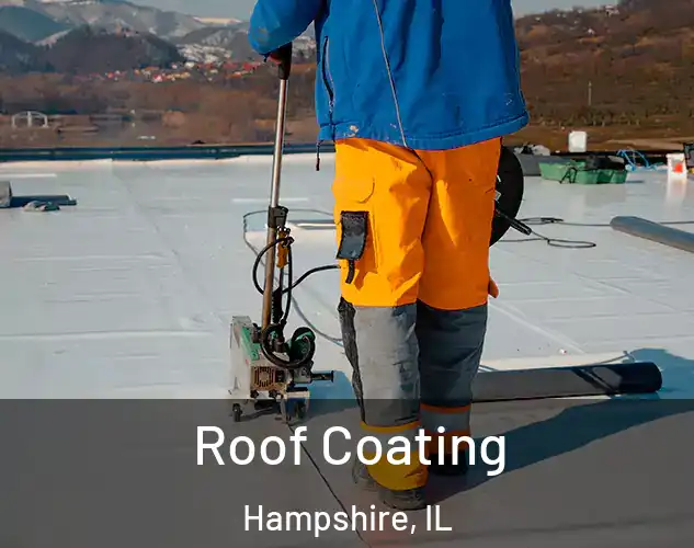  Roof Coating Hampshire, IL
