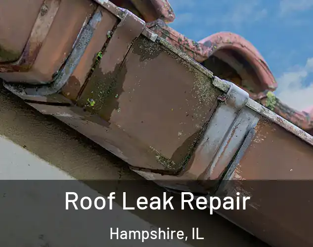  Roof Leak Repair Hampshire, IL