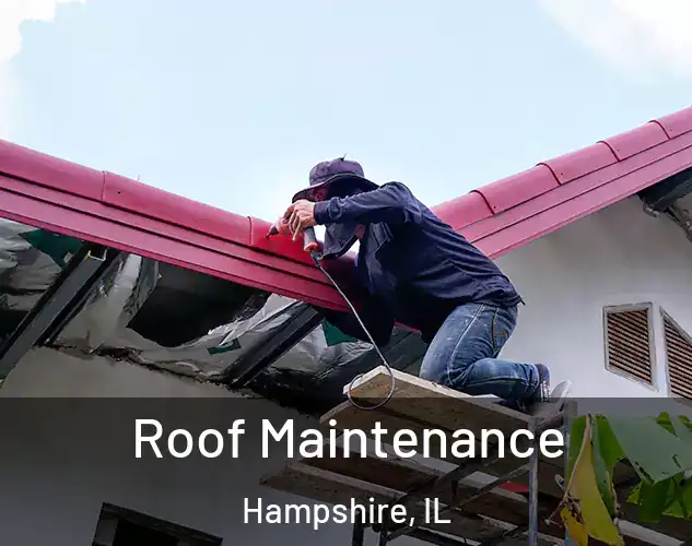  Roof Maintenance Hampshire, IL