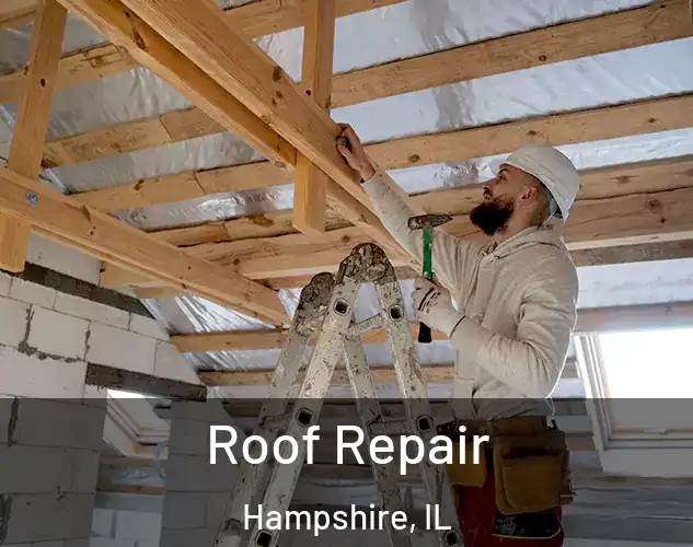  Roof Repair Hampshire, IL