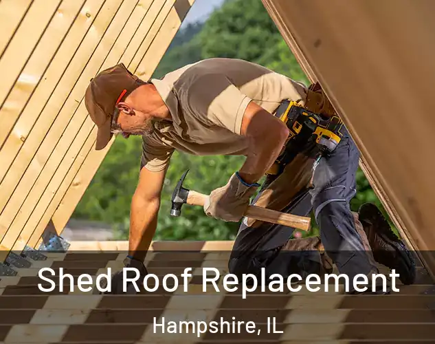  Shed Roof Replacement Hampshire, IL