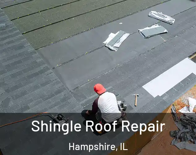  Shingle Roof Repair Hampshire, IL